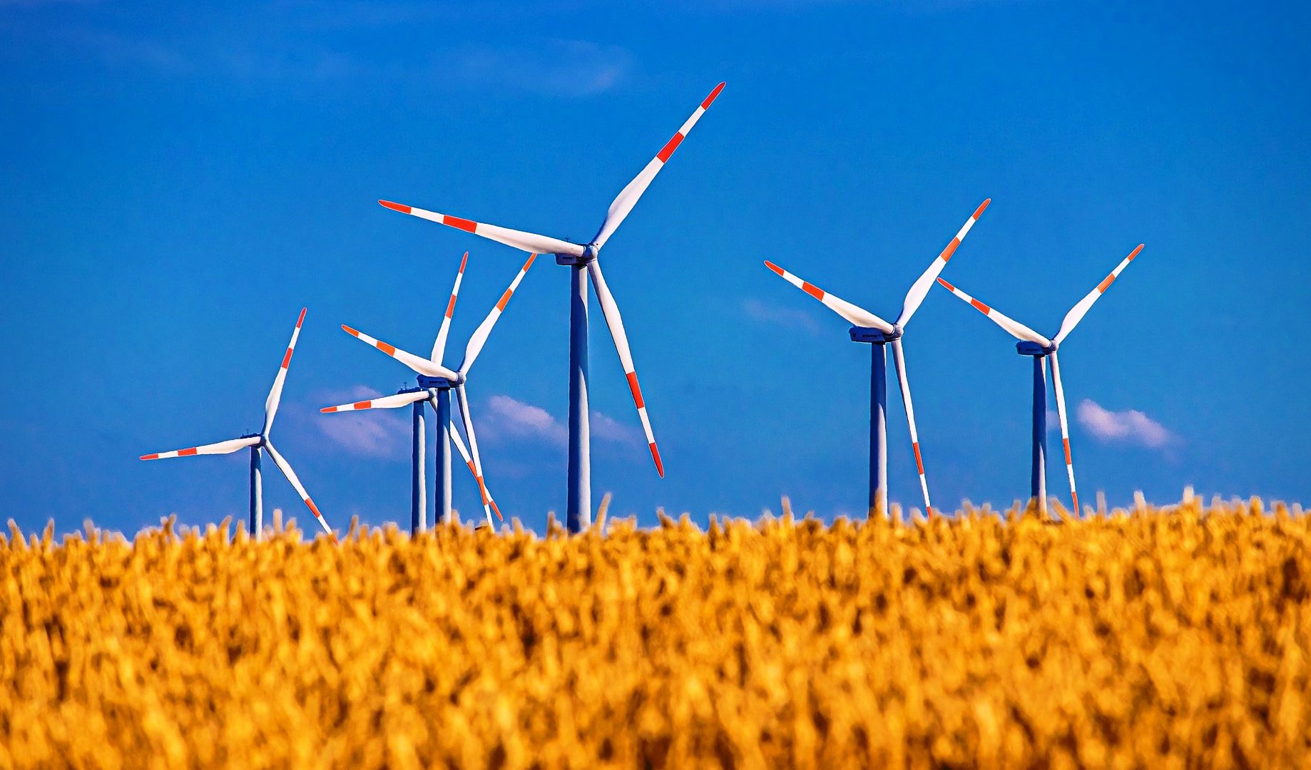 Turbine eoliene