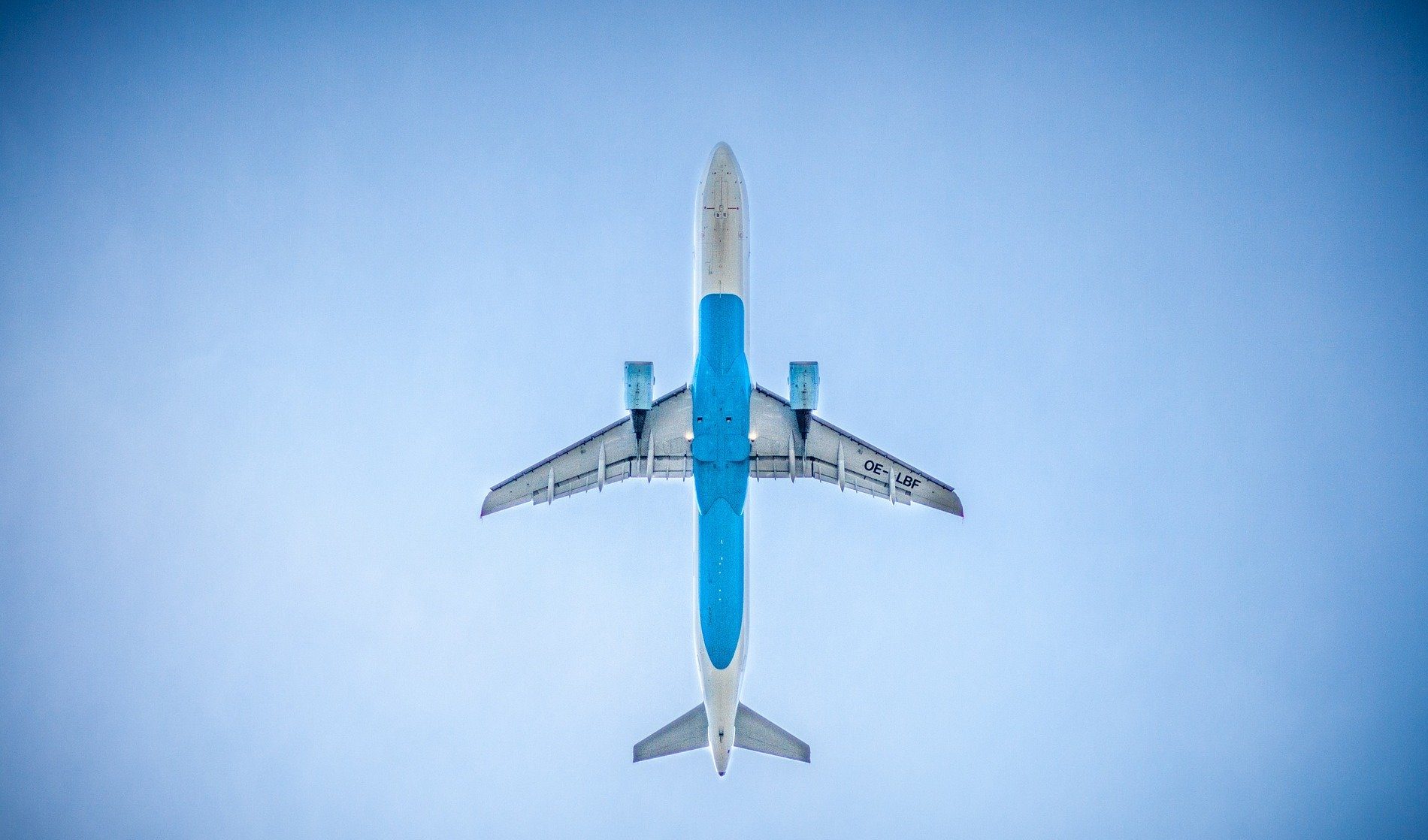 Avion